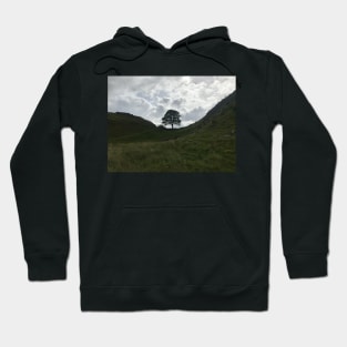 sycamore gap on hadrians wall Hoodie